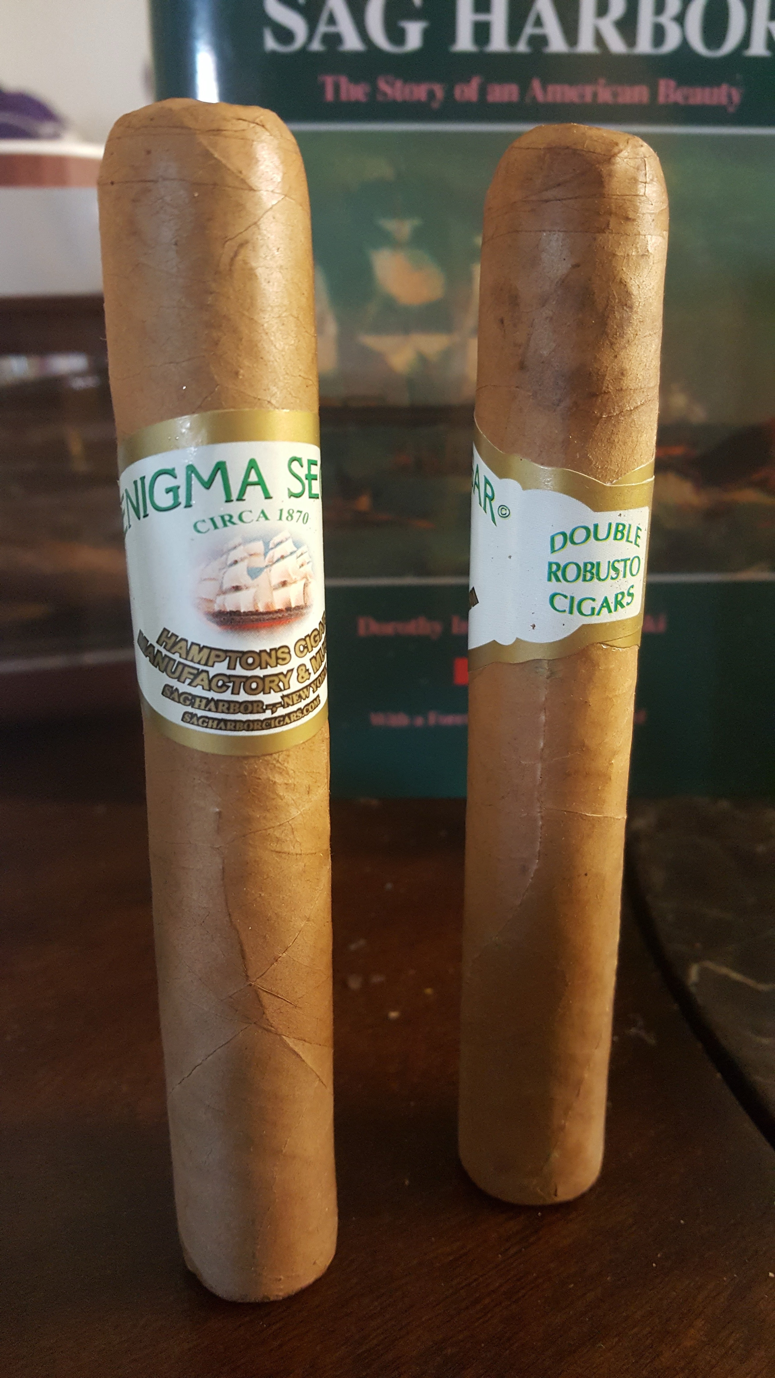 Enigma Segar - Pack of 20