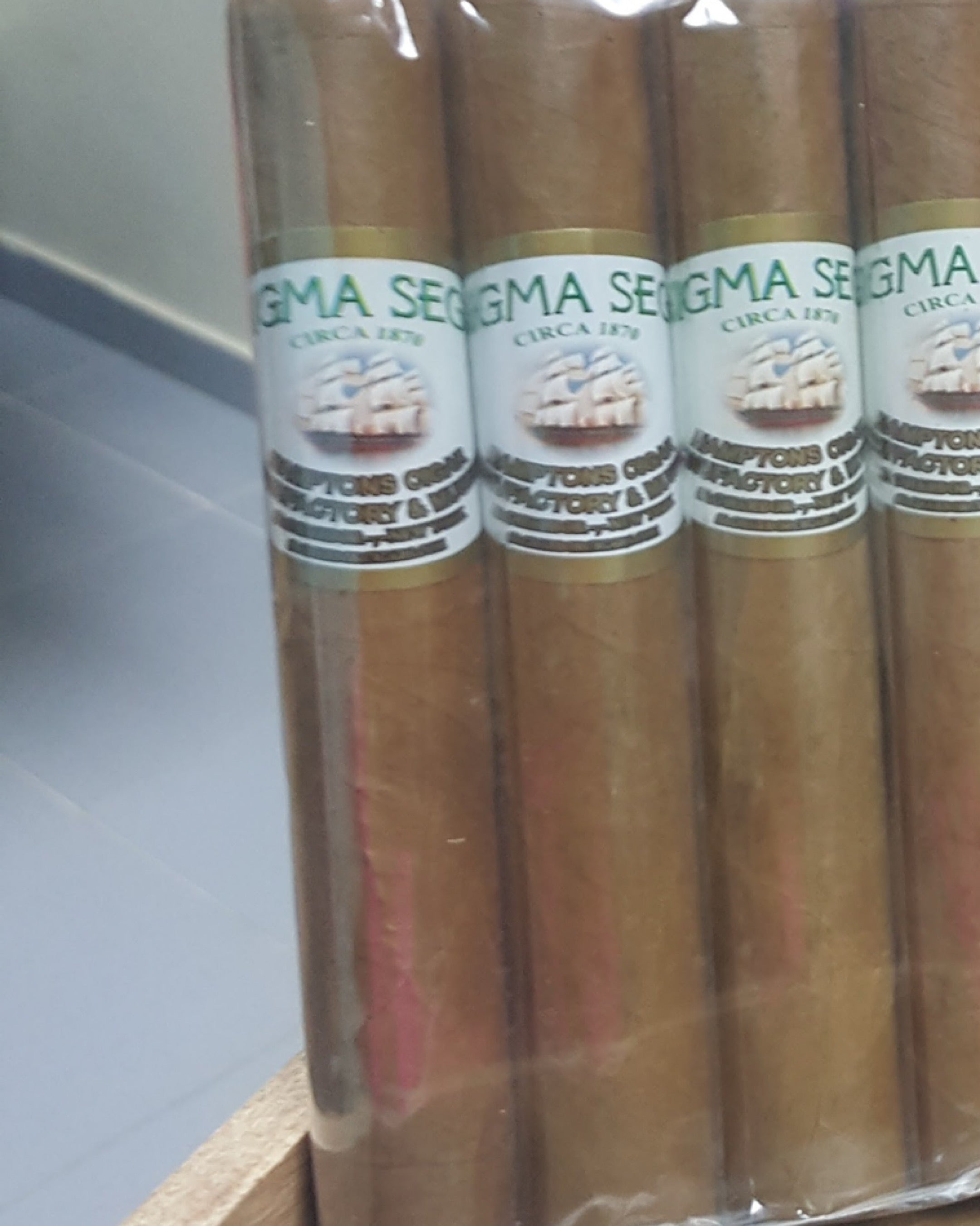 Enigma Segar - Pack of 20