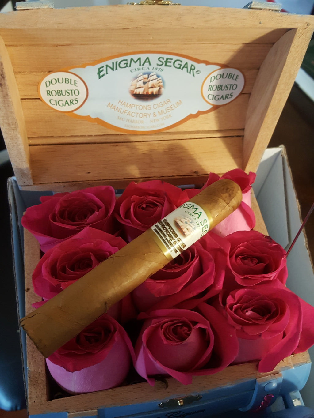 Enigma Segar - Pack of 20