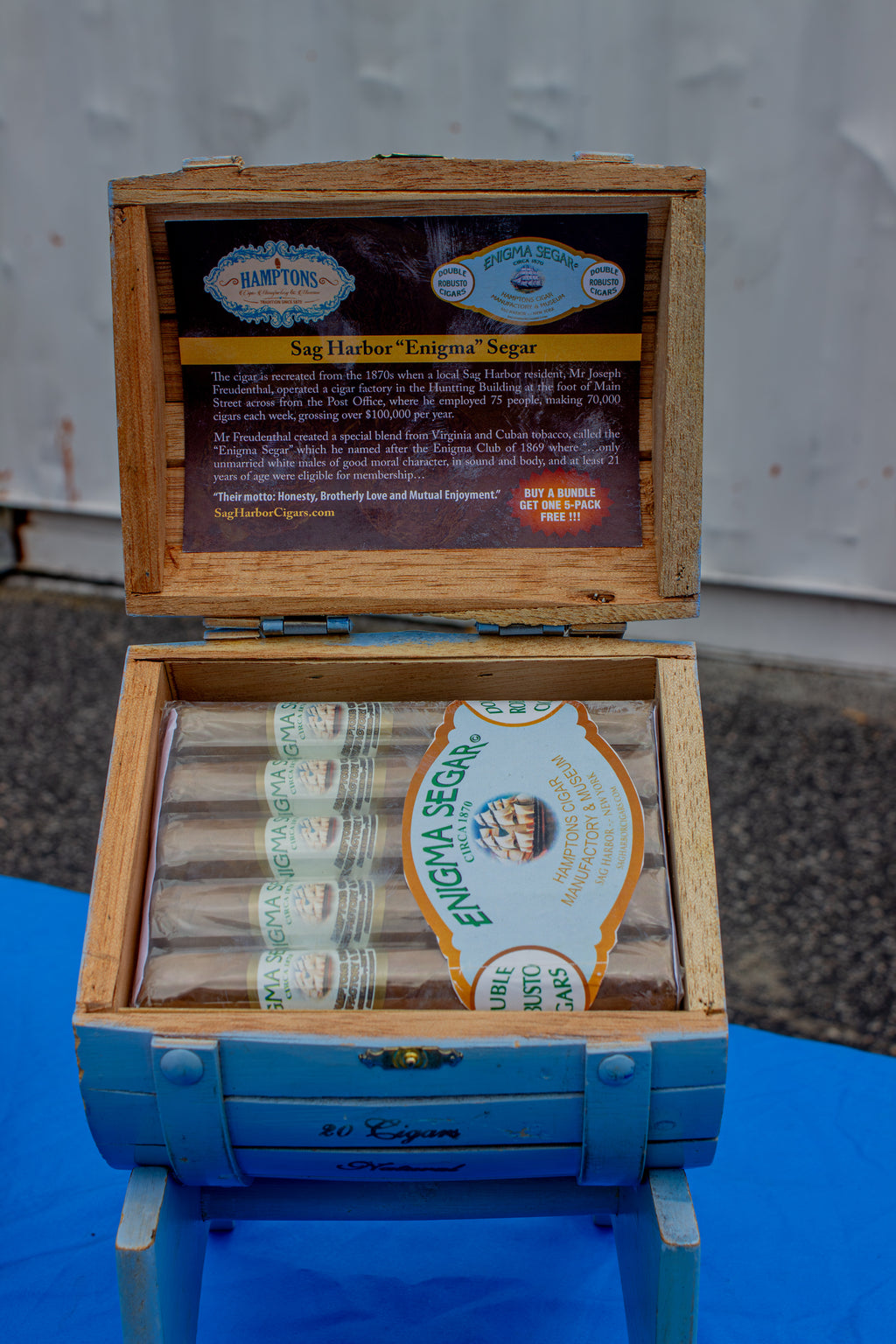 Enigma Segar - Pack of 20